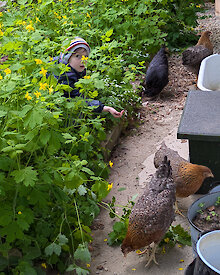 Ferienhaus in Englmar